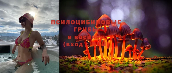 прущая мука Алзамай
