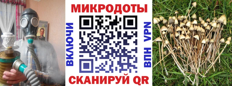 цена наркотик Аргун Псилоцибиновые грибы GOLDEN TEACHER